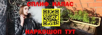 крисы Ярославль