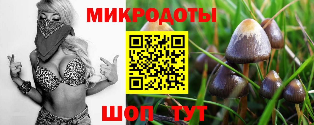 Ейск  Галлюциногенные грибы Psilocybine cubensis  Псилоцибиновые грибы мицелий  Вход с VPN 